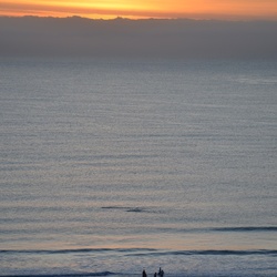 2015-05 South Africa/Durban Beach Front/DSC_0255.JPG